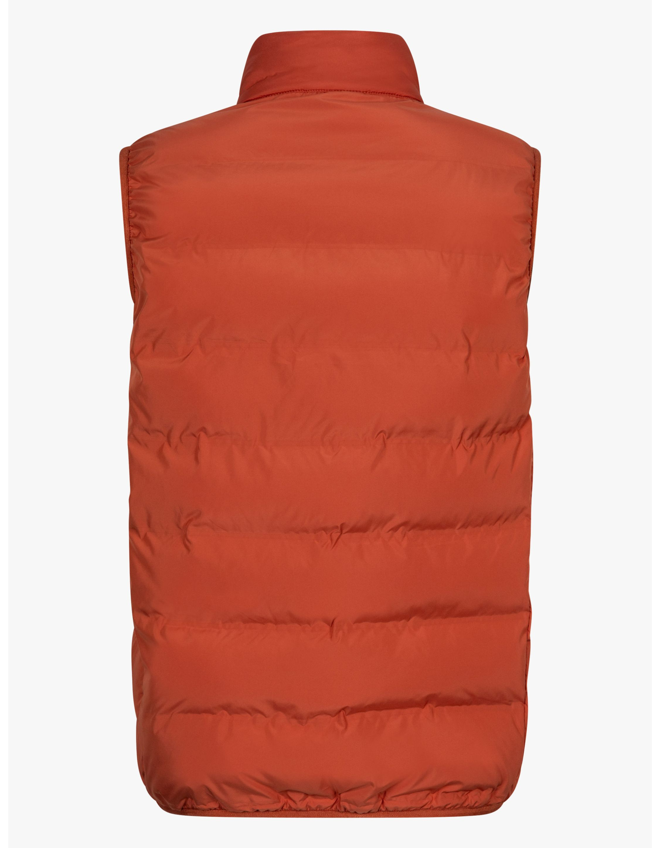 Cavallaro Gavigio Bodywarmers Oranje 112251000