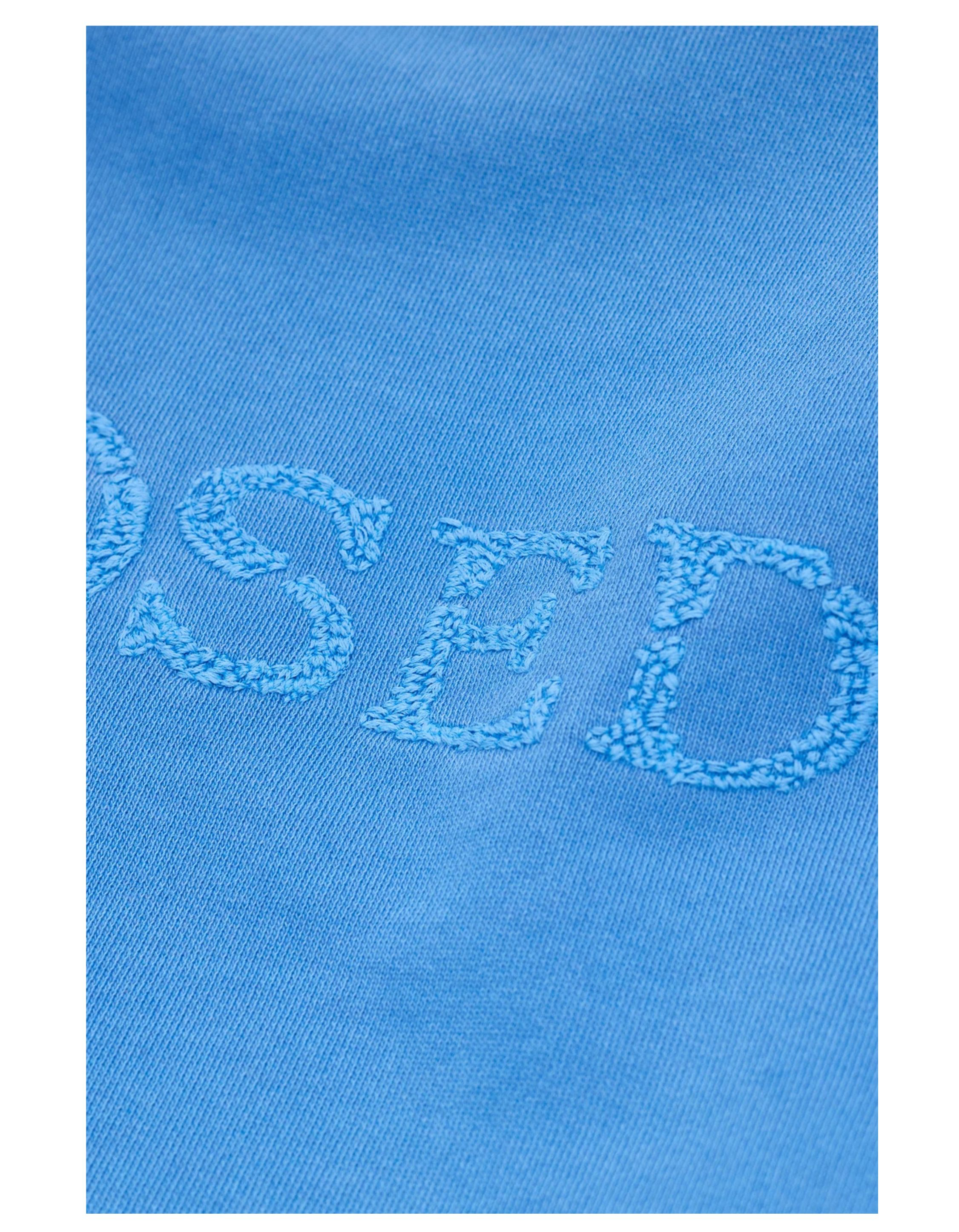Closed Logo Crewneck Sweaters Blauw C95900-46y-am