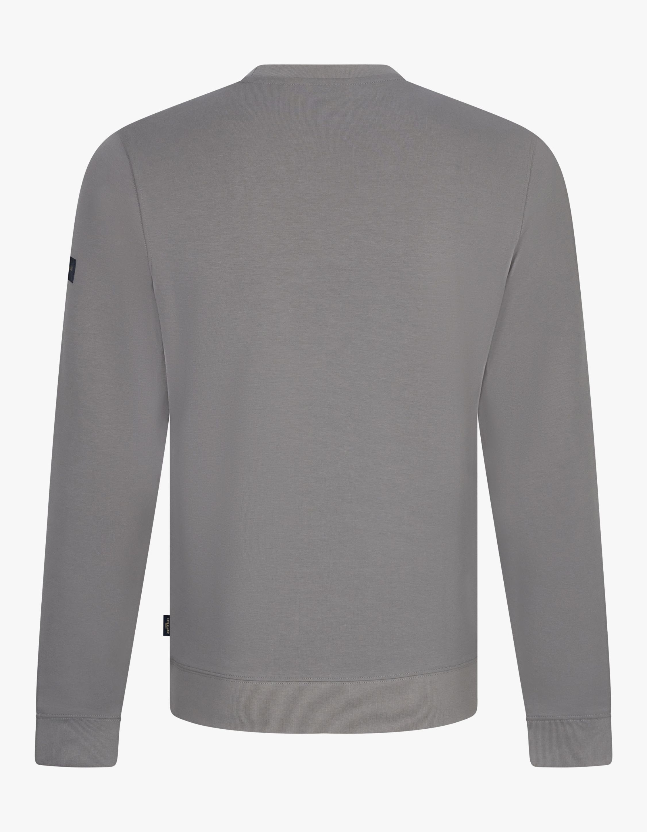 Cavallaro Unlined Sweaters Grijs 120255006