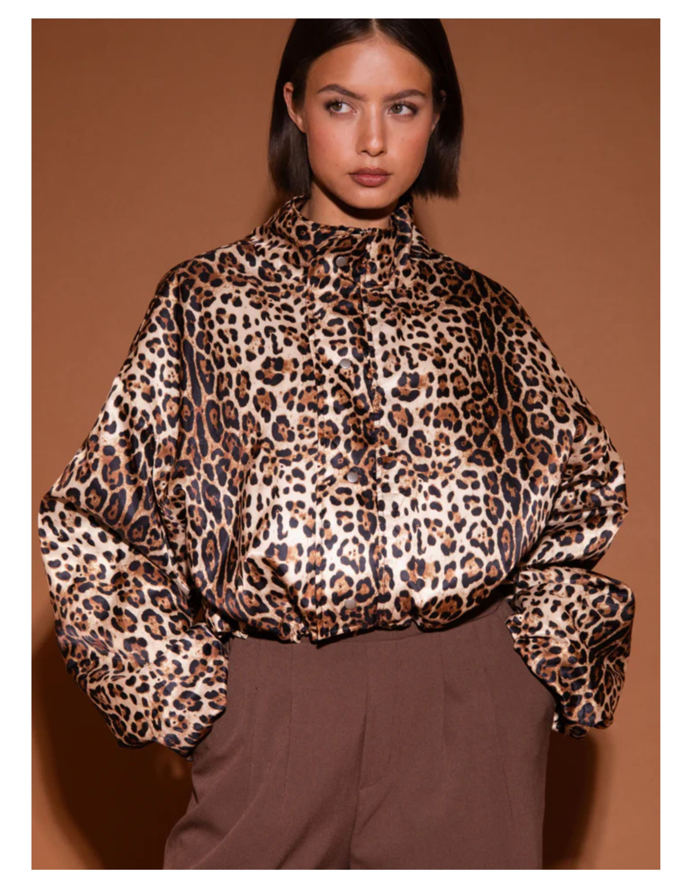 Studio Amaya 253-56 Jackets Multicolor Feline