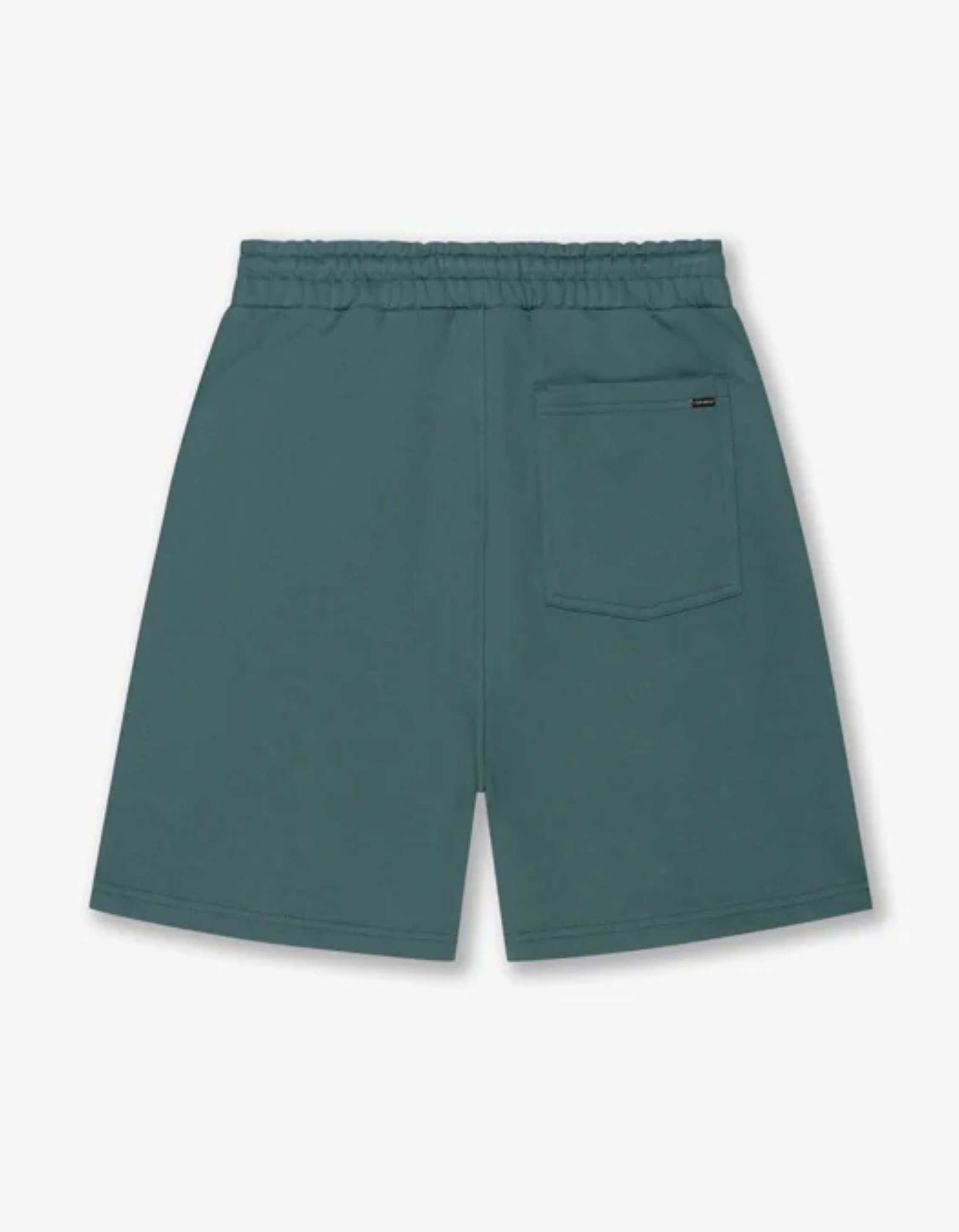 Croyez Cr1-hs25-61 Shorts Groen Cr1-hs25-61