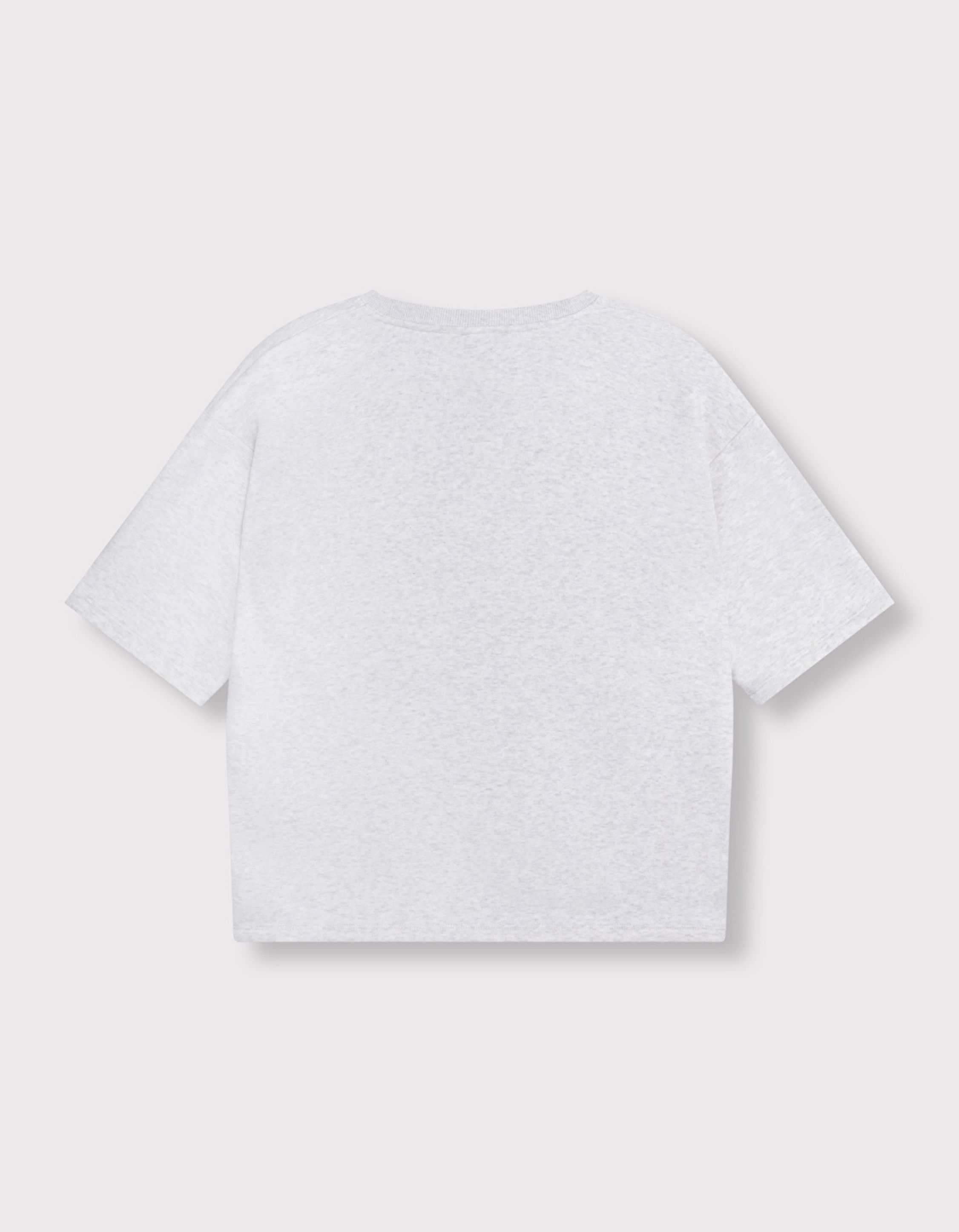 Alix The Label Ladies Knitted V-neck Shortsleeve Sweater T-shirts Lichtgrijs 2603873597