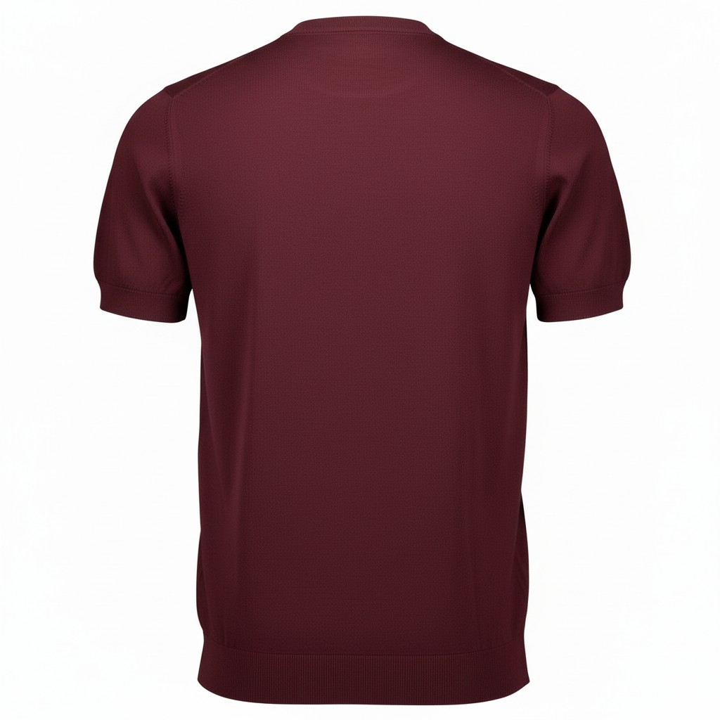 Vaganza T-shirt T-shirts Bordeaux Tv-4005