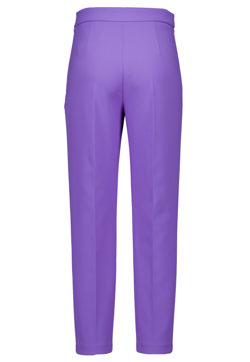 Elisabetta Franchi  Pantalons Paars Pat1441e2 As6