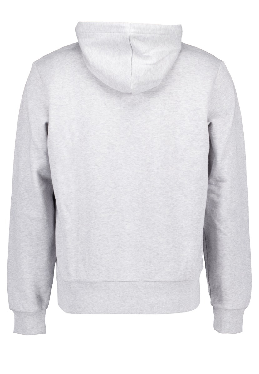 hoodies grijs