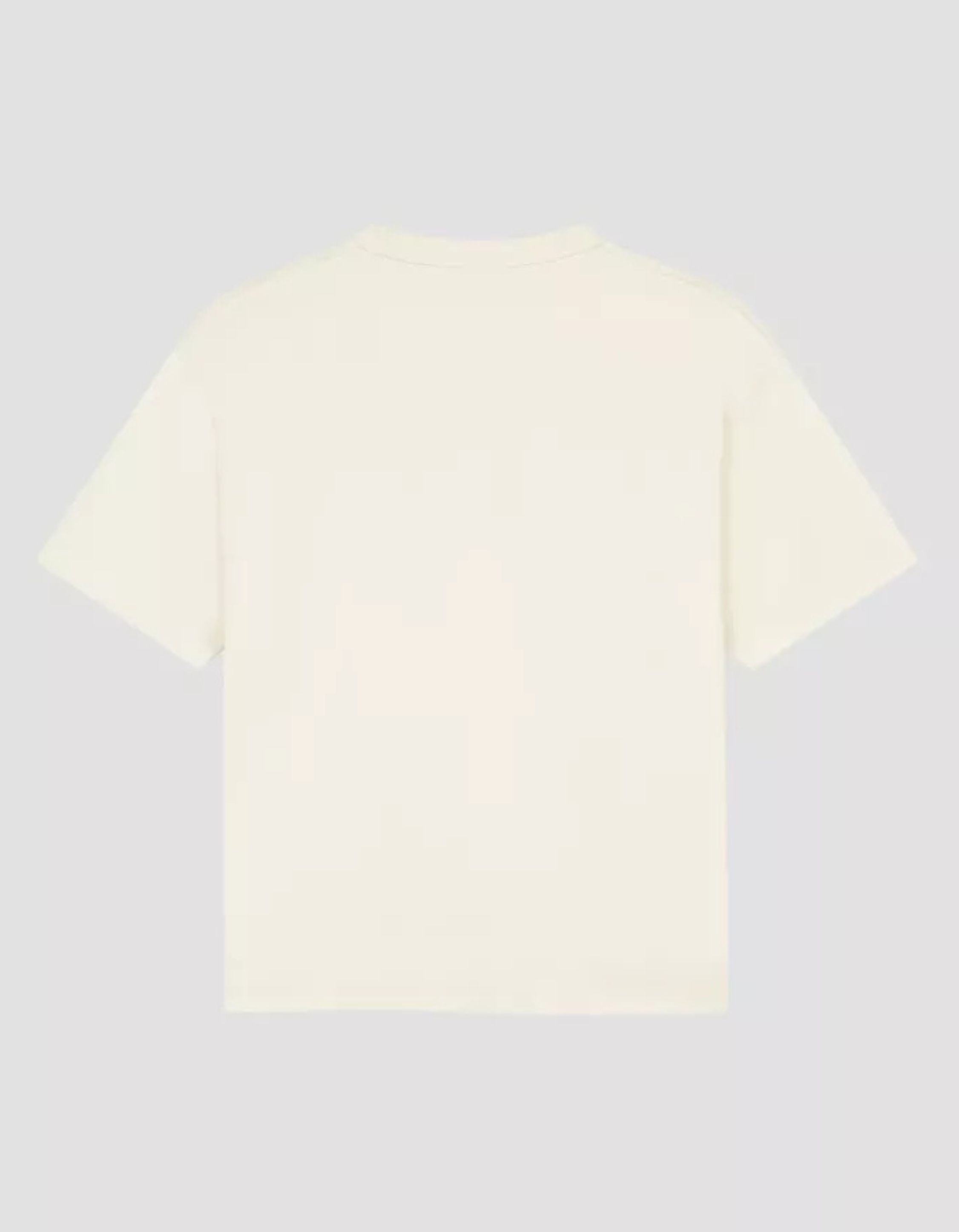 Olaf Brushstroke Olaf Regular Tee T-shirts Off White W240108
