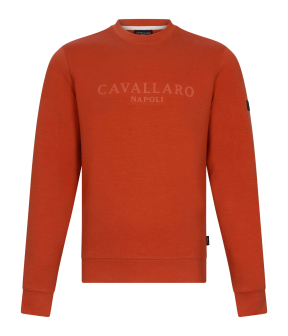 Cavallaro Celio R Sweaters Oranje 120251000
