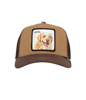 Goorin Bros The Loyal Dog Petten Bruin 101-0505