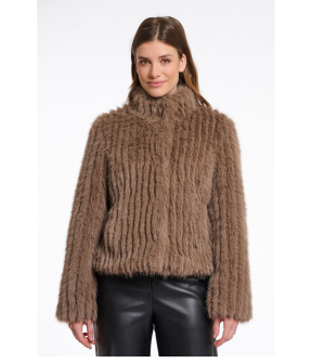Rino & Pelle   Bruin Faith.7002511