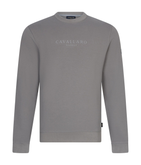 Cavallaro Unlined Sweaters Grijs 120255006