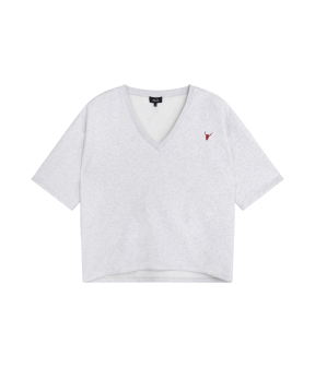 Alix The Label Ladies Knitted V-neck Shortsleeve Sweater T-shirts Lichtgrijs 2603873597