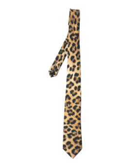 Janice Sir Stropdassen Bruin Sir