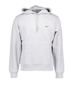 hoodies grijs