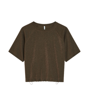 Summum Top Boxy Tee Sparkle  Bruin 3s5275-30755