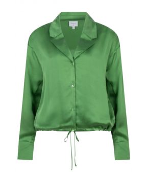 Emery blouses groen