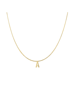 Vedder & Vedder Ruby Rope Tag B Kettingen Goud Ruby Rope  B