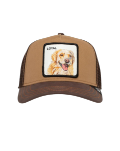 Goorin Bros The Loyal Dog Petten Bruin 101-0505